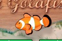 juego Goldfish