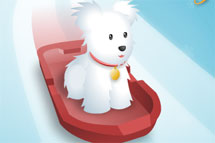 Juegos de mascotas - página 3: Cachorro sobre Hielo