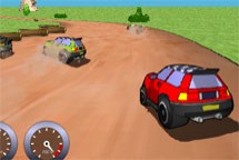 Rally 3D