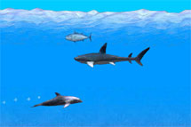 Jugar a Aventura Dolphin