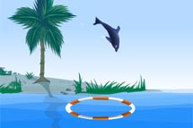 juego Show de delfines