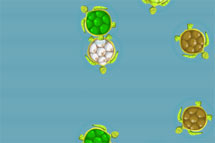 juego Turtle Pool